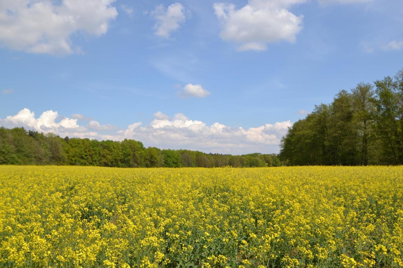 Zauber Der Pfalz Romerberg Kültér fotó
